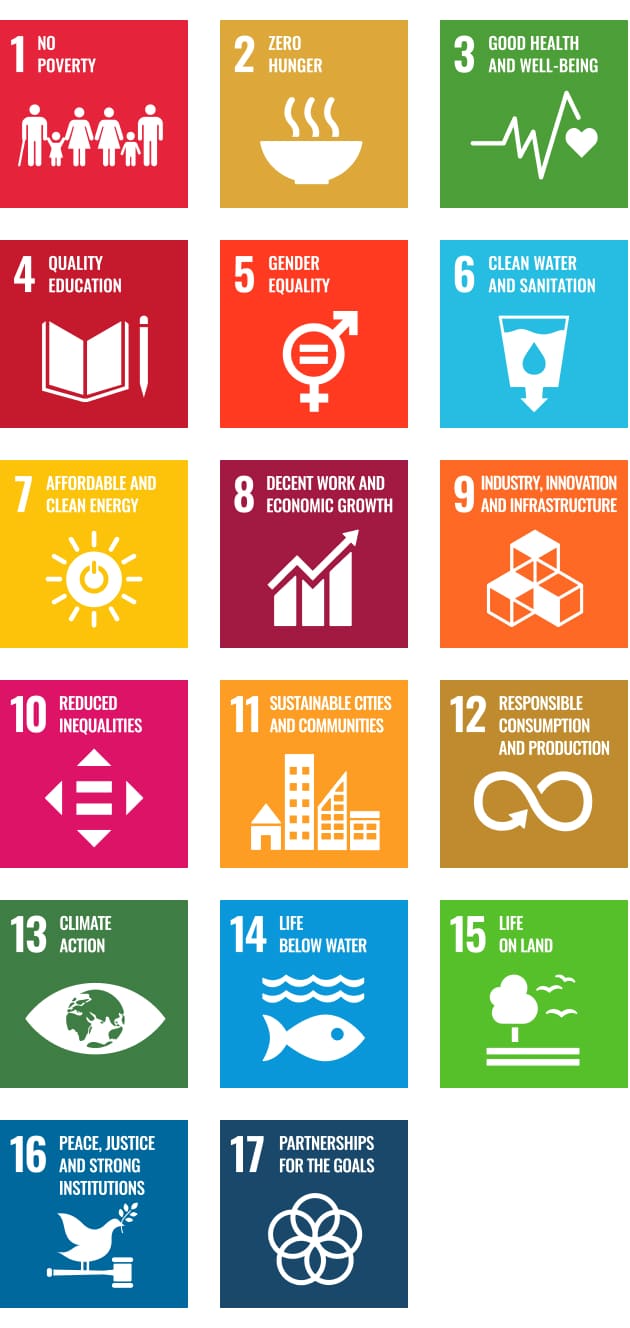 Development Goals