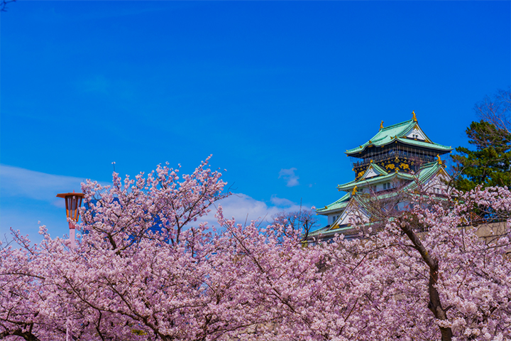 Rakuten Travel